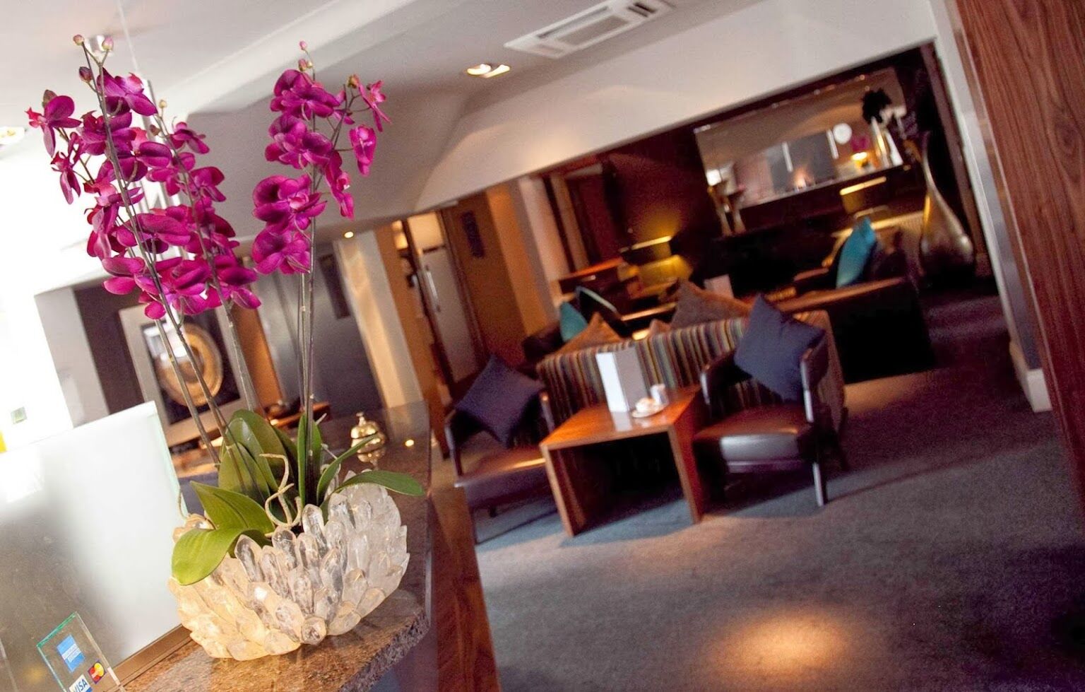 The Studley Hotel 해러게이트 외부 사진